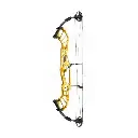 Hoyt Invicta 40", SVX, Gold Metal (Used)