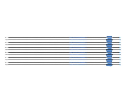 
Sanlida X8 Target Recurve Carbon Arrows 